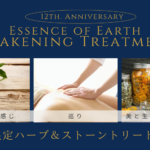 12周年祭準備中です♪