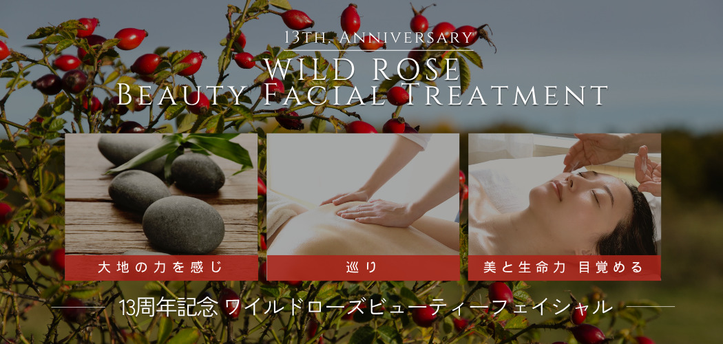 WRBFバナー (3)